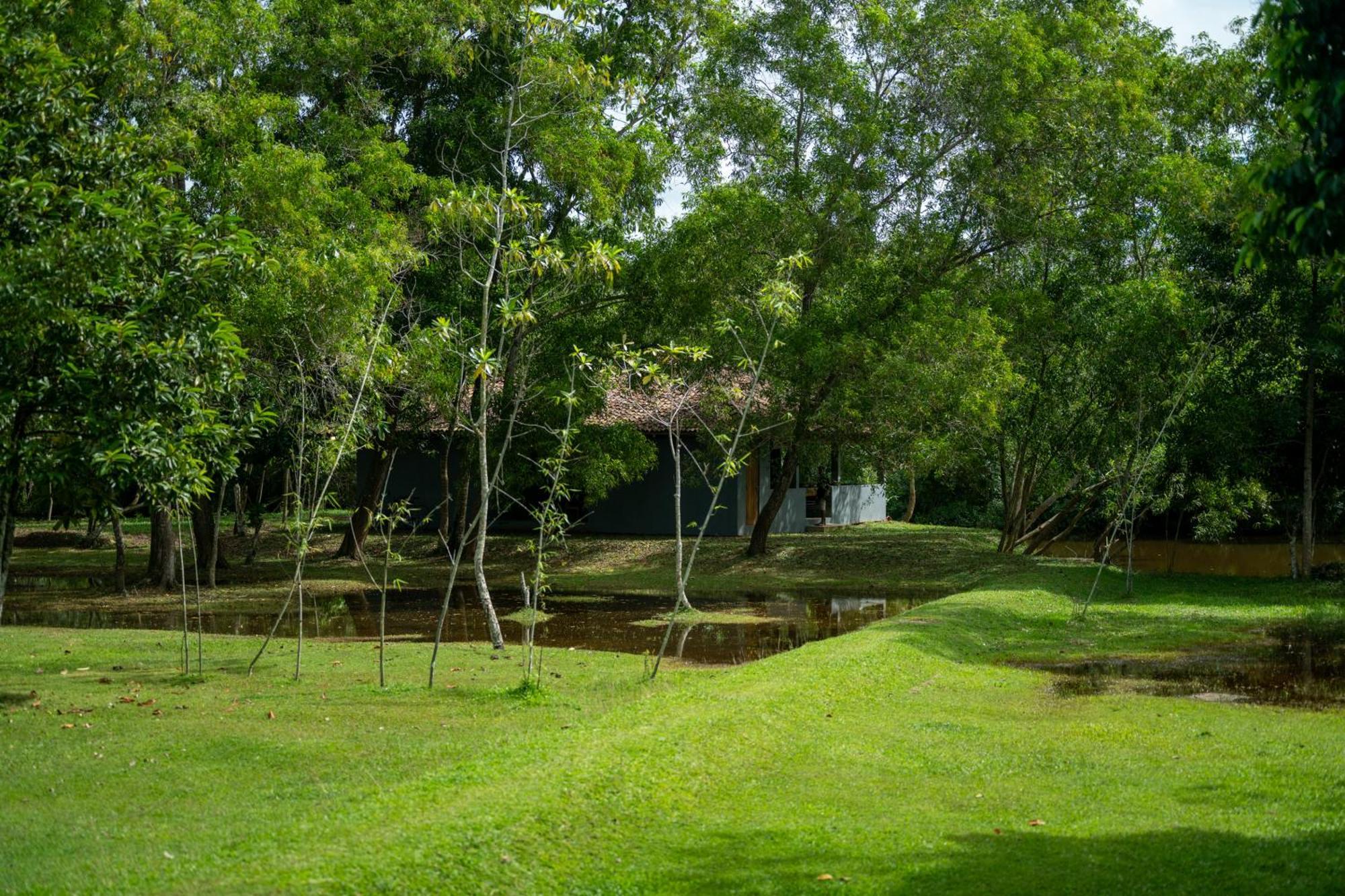 Wirdana Resort&Spa Bussa Exterior foto